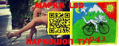 индика Лесосибирск