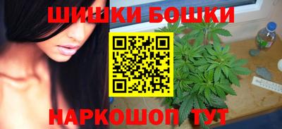 индика Лесосибирск