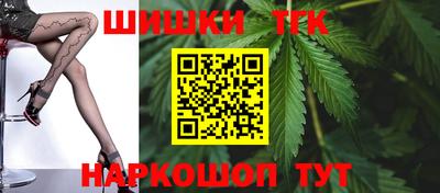 индика Лесосибирск