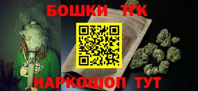 индика Лесосибирск