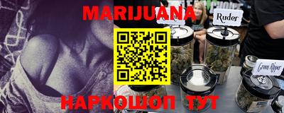 индика Лесосибирск