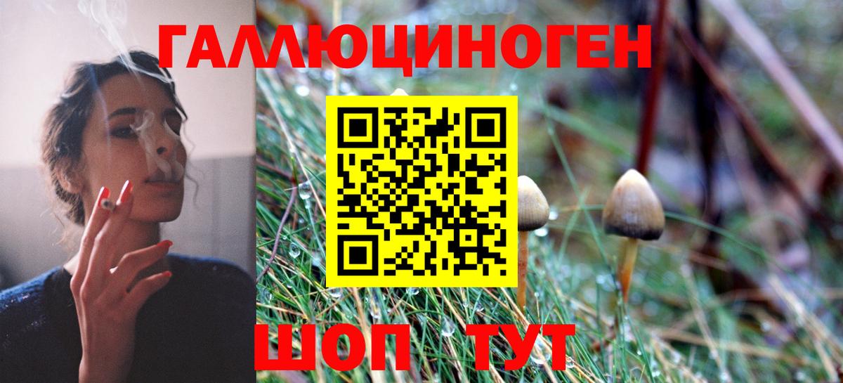 Карасук  наркошоп  Вход с VPN  Галлюциногенные грибы Magic Shrooms 